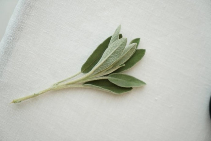 Sage в Москве: скандинавская эстетика и гастрономия в одном месте