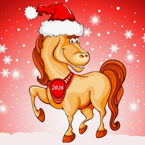 Наталья Рудакова: Как избежать разочарований в новогодних планах